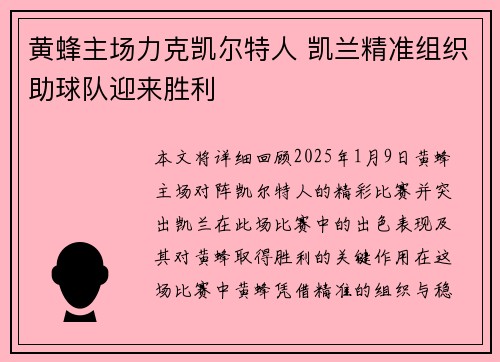 黄蜂主场力克凯尔特人 凯兰精准组织助球队迎来胜利