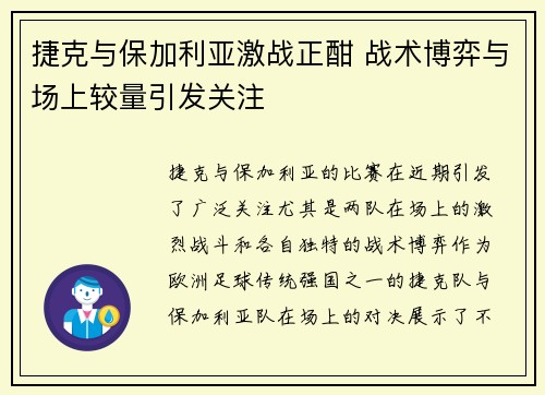 捷克与保加利亚激战正酣 战术博弈与场上较量引发关注